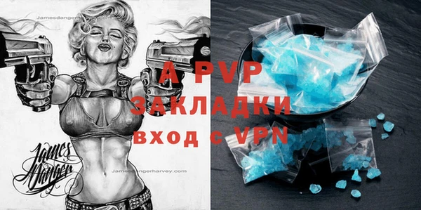 шишки Абаза