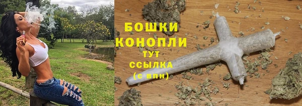 шишки Абаза