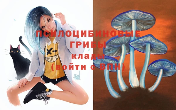 трава Абинск