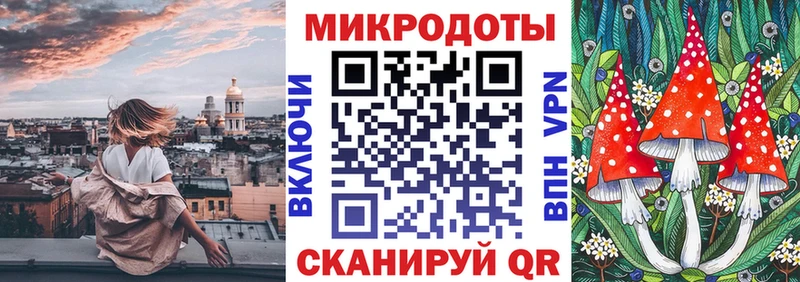 купить   Зеленогорск  Псилоцибиновые грибы Cubensis 